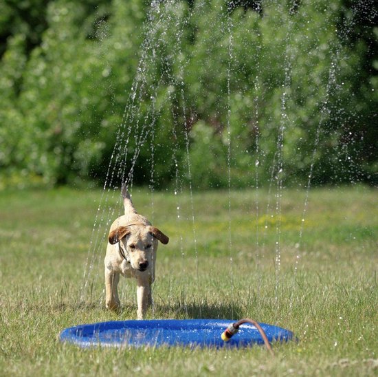 Bubblesplash: Verkoelend waterplezier voor Kinderen en Huisdieren!