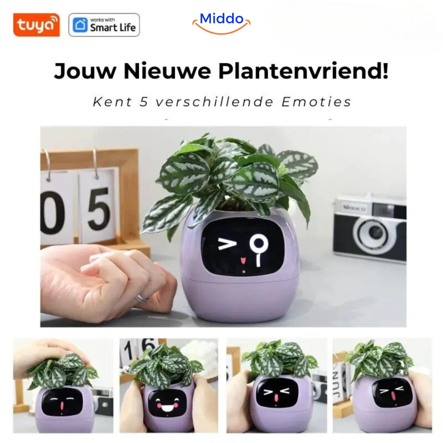 Happy Ivy™ - SMART Bloempot voor Automatische Plantenverzorging