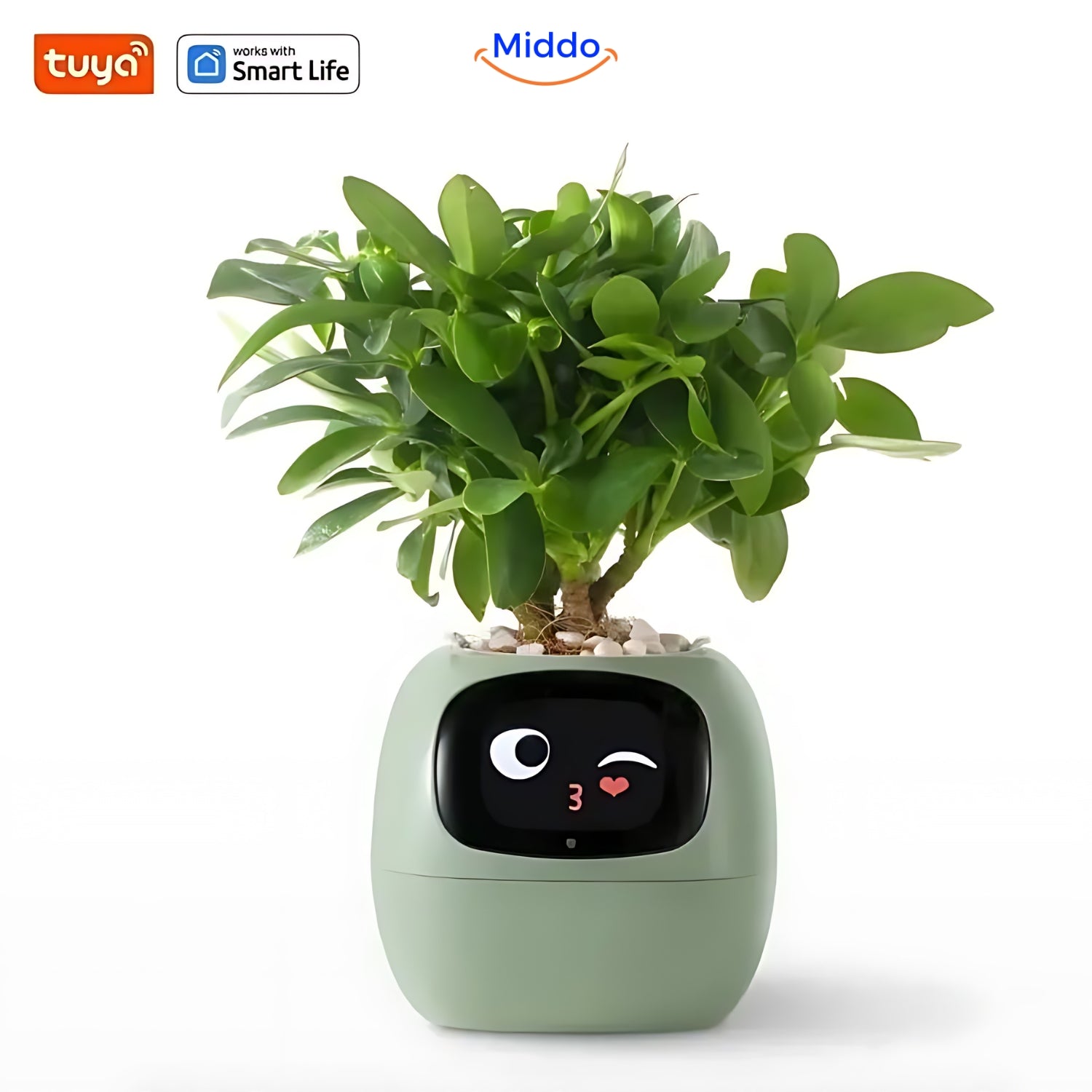 Happy Ivy™ - SMART Bloempot voor Automatische Plantenverzorging