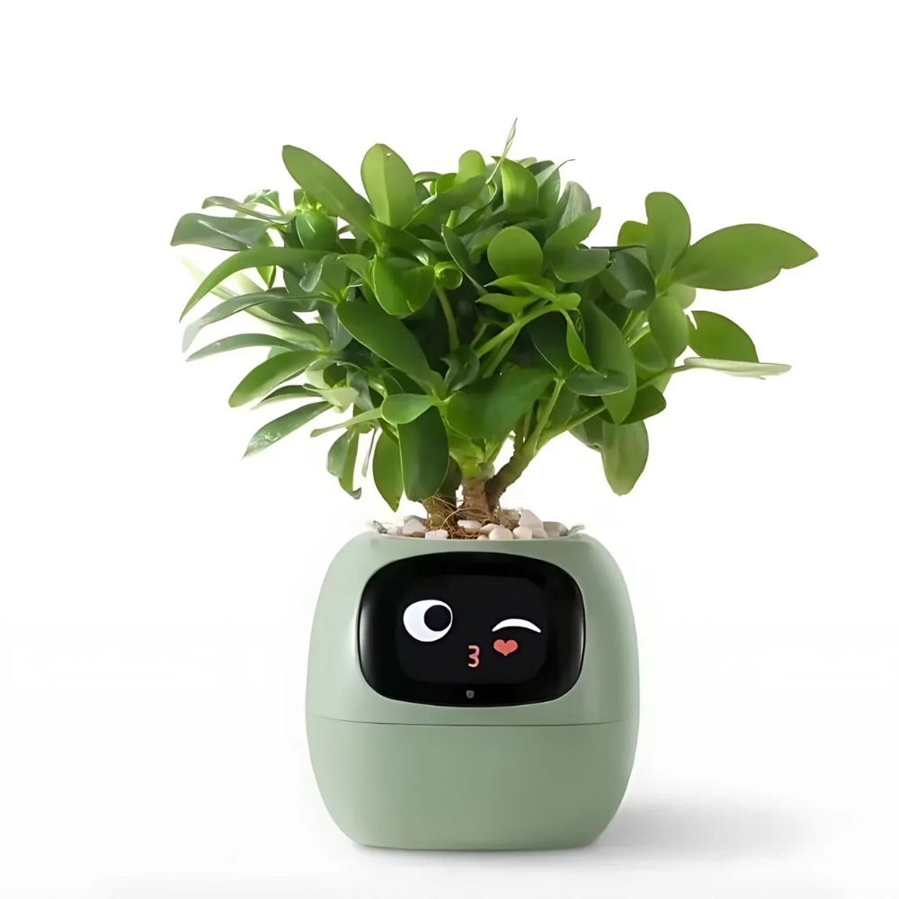 Bloomy Ivy™ - Jouw SLIMME partner voor Automatische Plantverzorging